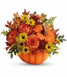 Teleflora's Warm Fall Wishes Bouquet from Gilmore's Flower Shop in East Providence, RI